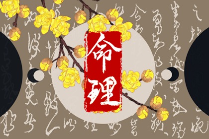 紫微星测试 九星命盘解析 万年历紫微 专业细盘命盘 测紫微斗数